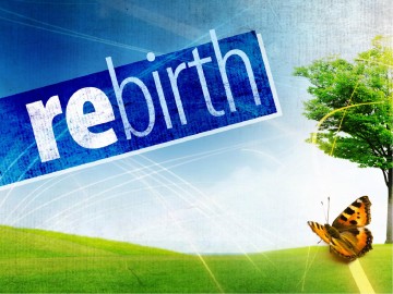 Spring Renewal PowerPoint