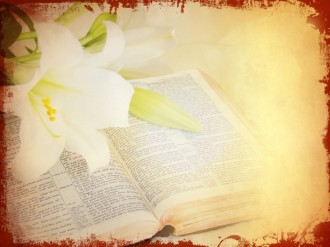 Lily Easter Wallpaper Background