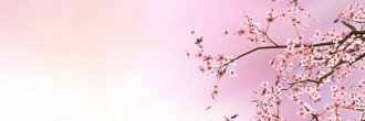 Happy Mothers Day Spring Email Banner