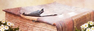Happy Mothers Day Bible Email Banner