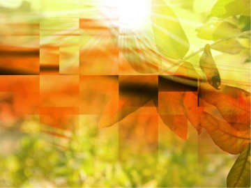 Pentecost Day PowerPoint