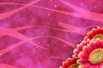 Flower Video Loop