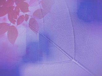 Christian Worship Background