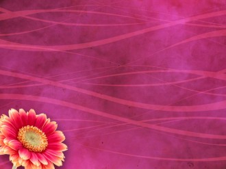 Flower Worship Background