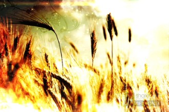 motion backgrounds for worship free download motion backgrounds for worship free download