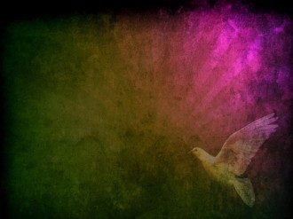 Dove Christian Background