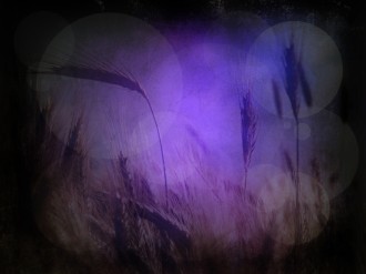 Parable of the Sower Background