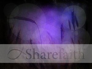 Parable of the Sower Background