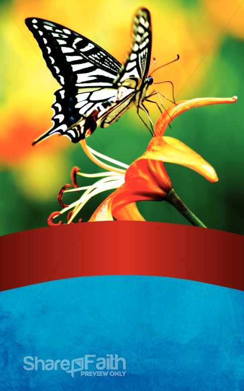 Butterfly Bulletin Cover