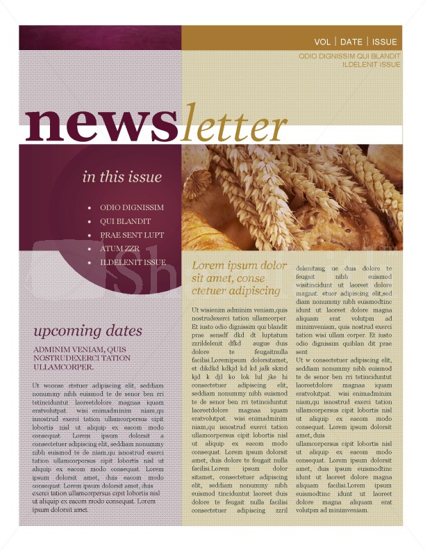 Fall Newsletter Template Template Newsletter Templates