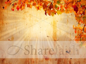 Autumn Leaves Background