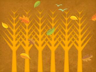 Fall Images