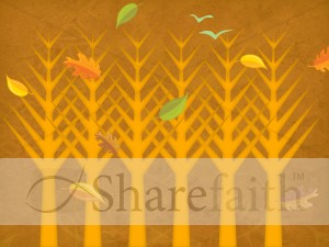 Fall Images