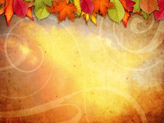Leaves Change Color Worship Background