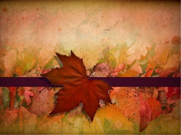Pictures for Fall PowerPoint Presentations