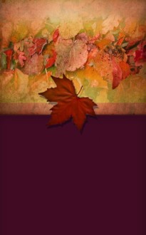 Pictures of Leaves Bulletin Cover