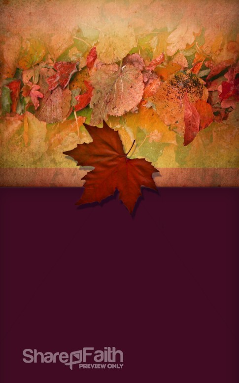 Pictures of Leaves Bulletin Cover