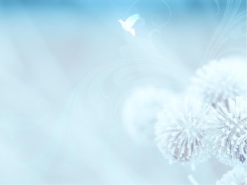 Spirit Filled PowerPoint Sermon Template