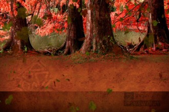 Fall Trees Worship Video Loop