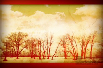 Winter Scene Church Worship Video