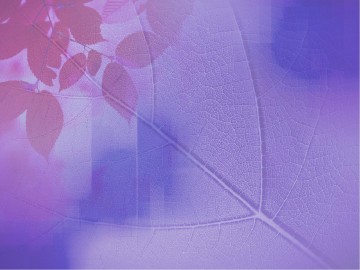 Faithfulness Fruit of The Spirit PowerPoint