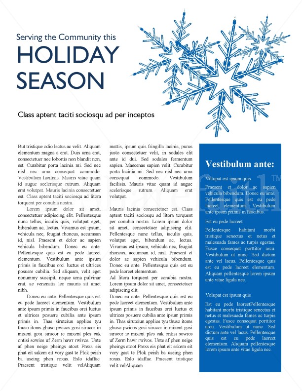 Winter Newsletter Template Newsletter Templates