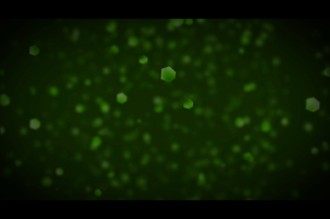 Green Abstract Worship Loop