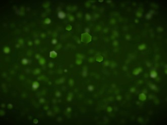 Green Abstract Worship Background