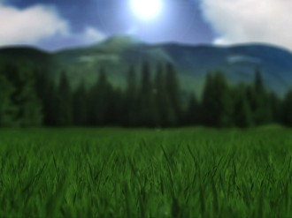 Field Worship Background