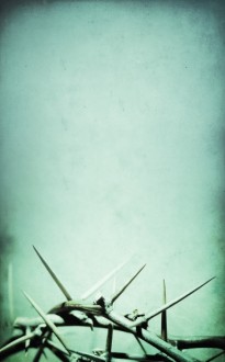 Thorns Church Bulletin Cover