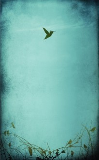 Church Bulletin Template