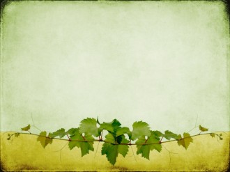 Vines Worship Background