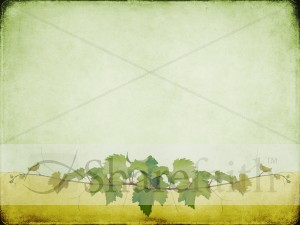 Vines Worship Background