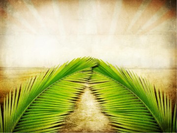 Palm Sunday Bible Sermon PowerPoint