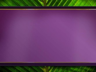 Palm Worship Slide