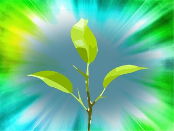 New Beginning Church PowerPoint Sermon