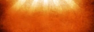 Rays Website Banner