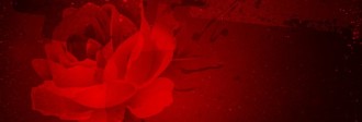 Rose Website Banner