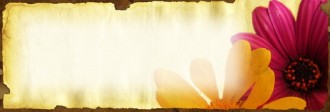 Flowers Website Banner