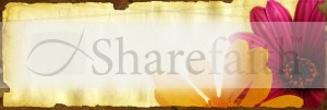 Flowers Website Banner
