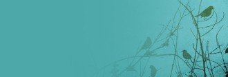 Birds Website Banner