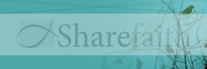 Birds Website Banner