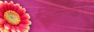 Floral Website Banner