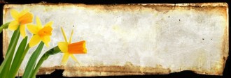 Yellow Flowers Website Banner