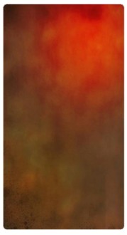 Red Brown Banner Widget