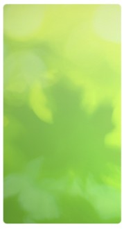Pastel Green Banner Widget