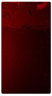 Dark Red Banner Widget