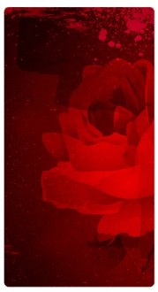 Rose Banner Widget