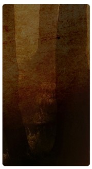 Forest Banner Widget