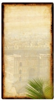 City of David Banner Widget